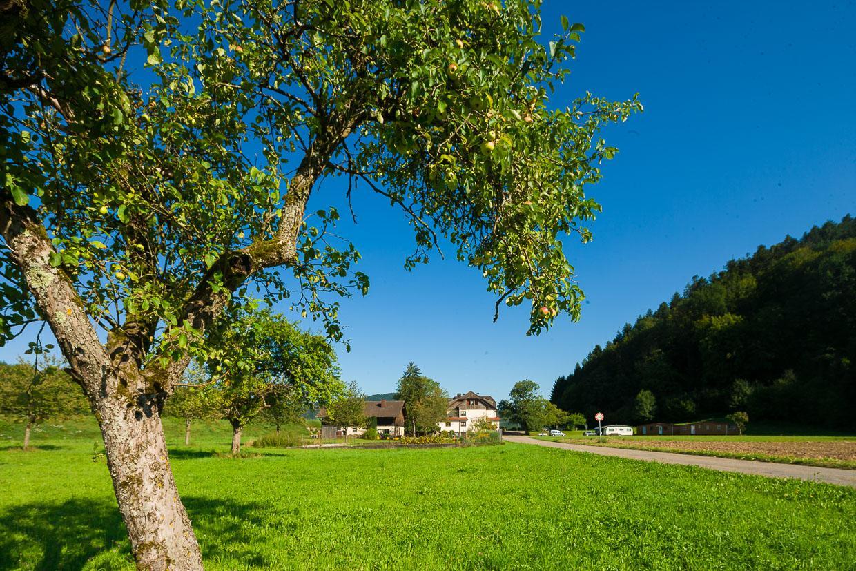 Landgasthof Kinzigstrand Μπίμπεραχ Εξωτερικό φωτογραφία